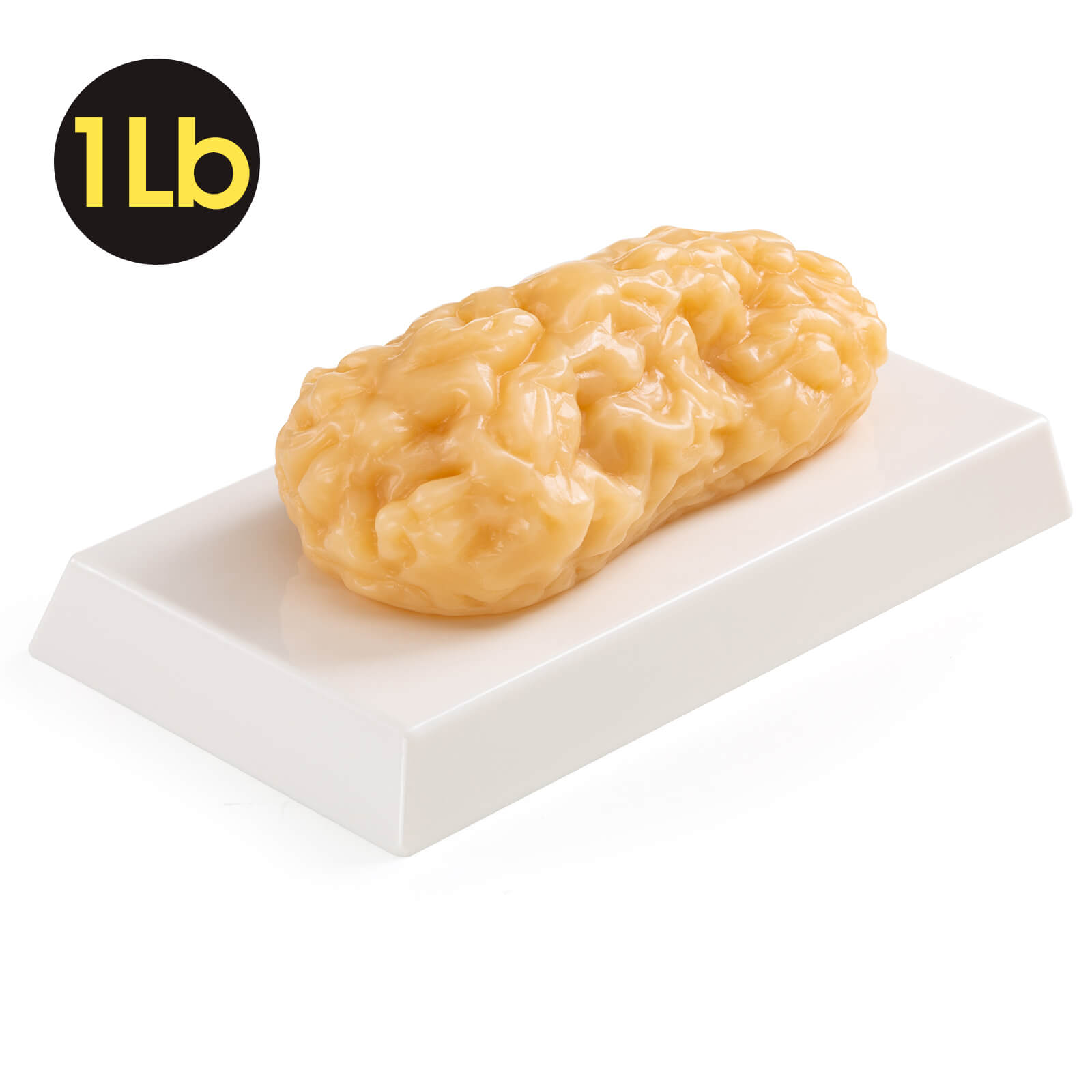 Ultrassist Human Body Fat Model (1, 2.5 & 5 lb) – Lifelike Fat Replicas for Fitness Training