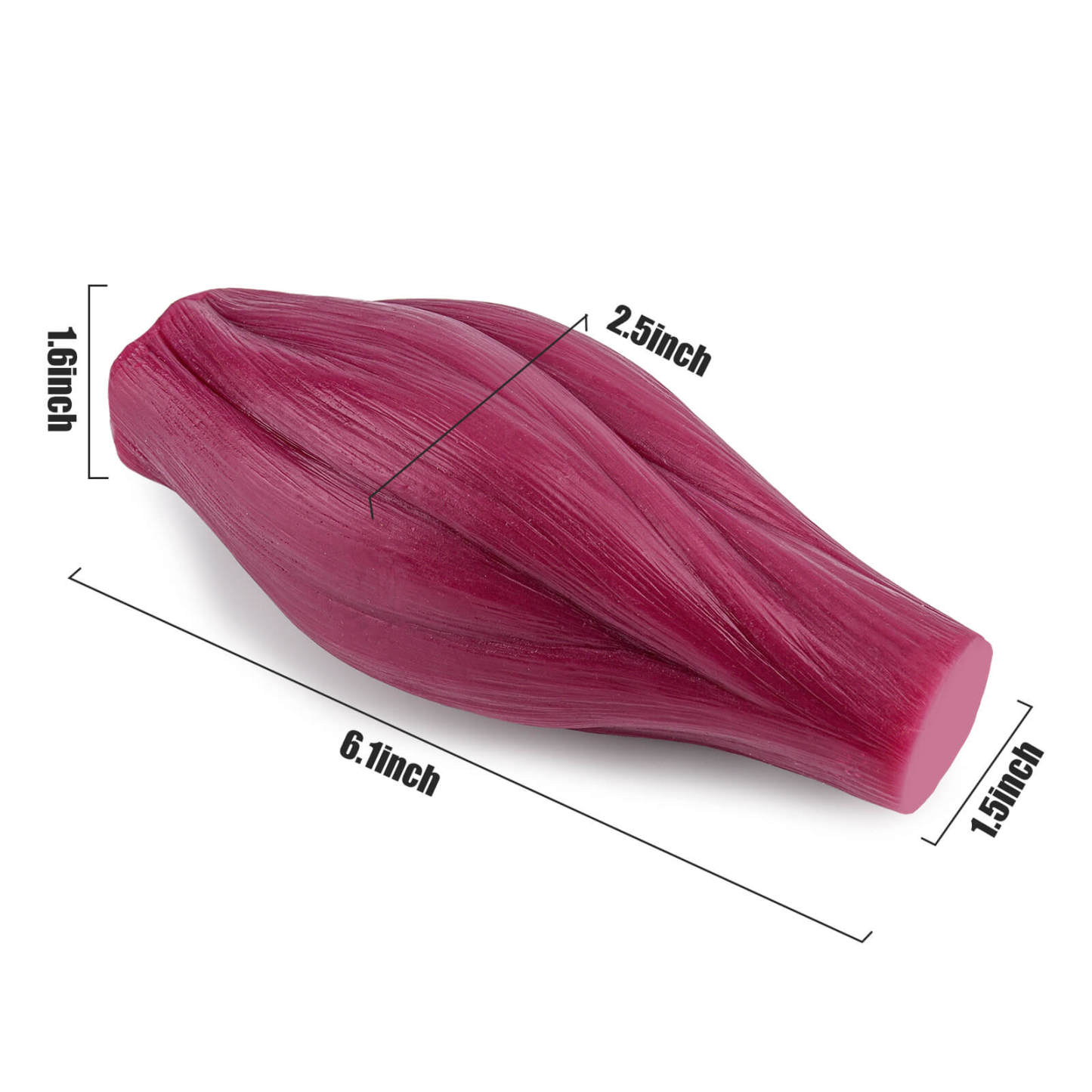 1lb Rectangle Muscle Replica Size