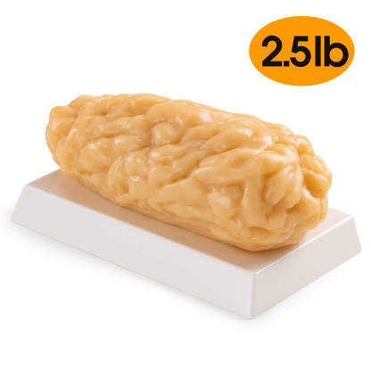 Ultrassist 2.5 lbs Fat Replica for Fitness Room Demonstration