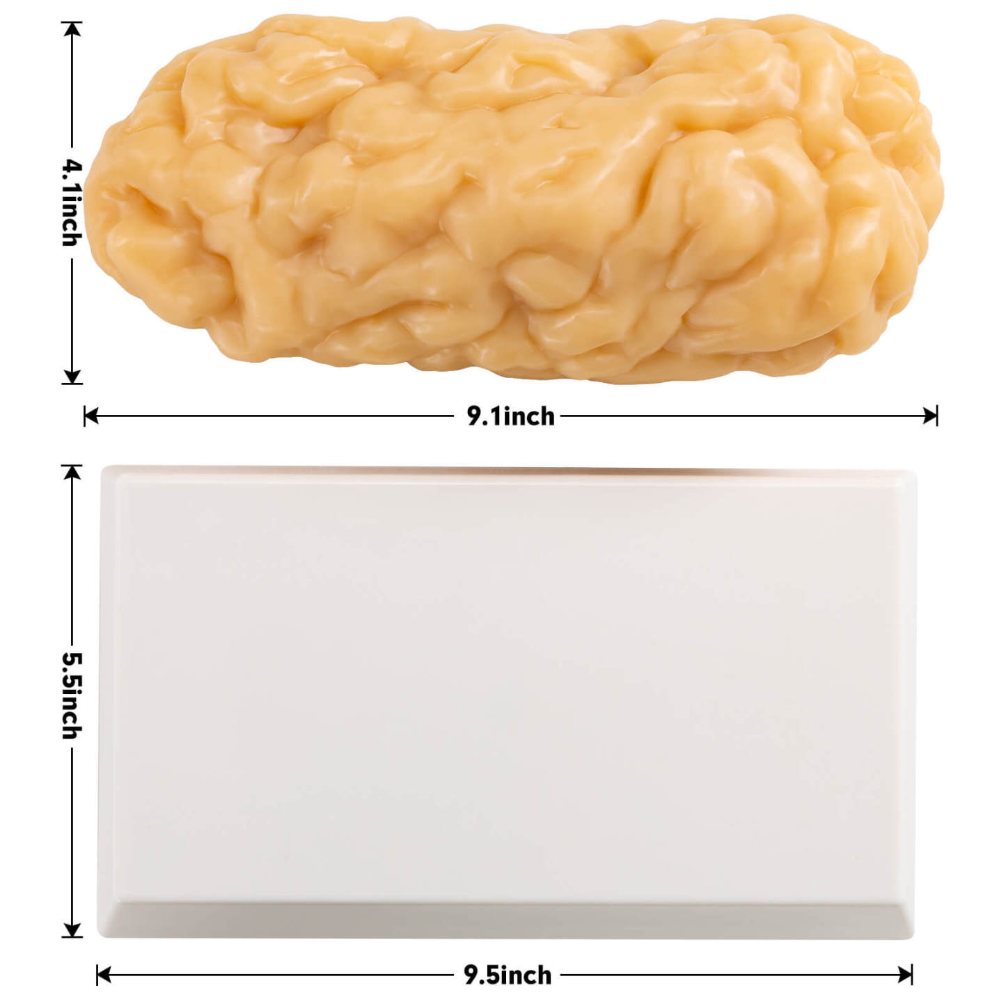 2.5 lbs Fat Replica and Display Base Size