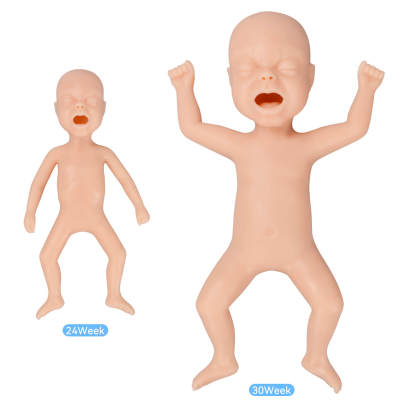 Premature Infant Simulation Model, 24 & 30 Weeks Old