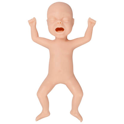 Premature Infant Model, 30 Weeks Old