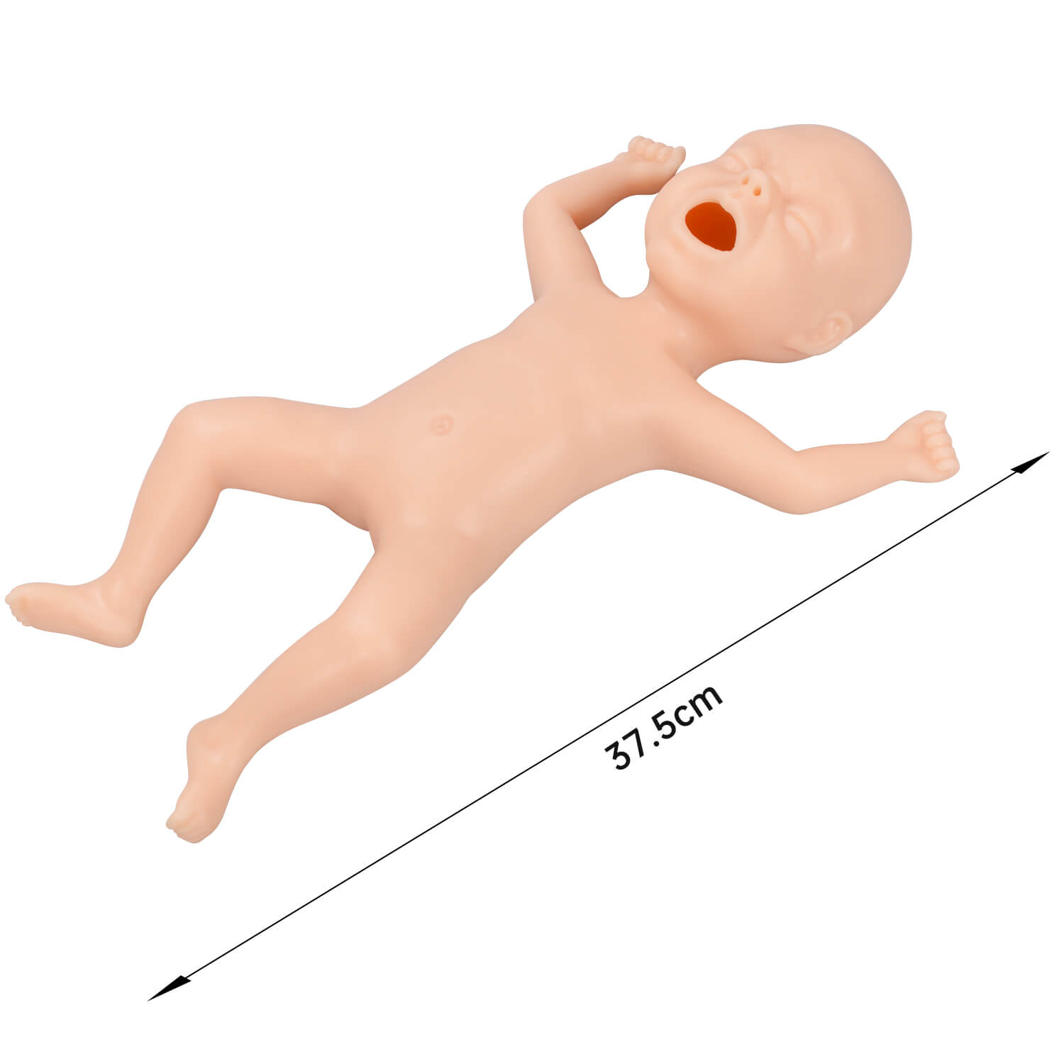 Premature Infant Model Size, 30 Weeks Old