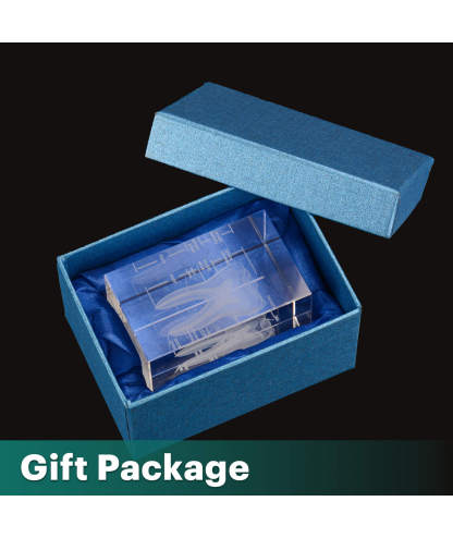 3D Crystal Tooth Model with Labeled Anatomy, Dentist Gift