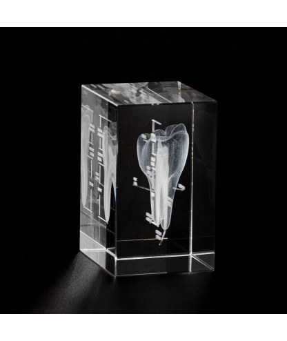 3D Crystal Tooth Model with Labeled Anatomy, Dentist Gift