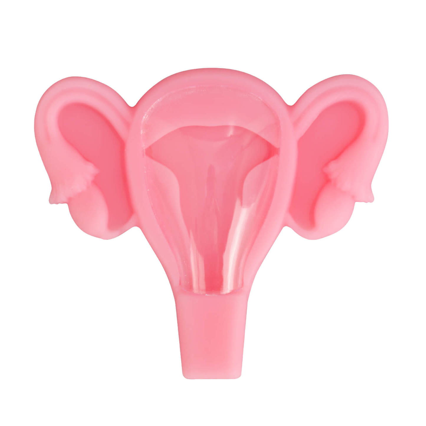 3D Uterus IUD Placement Training Model