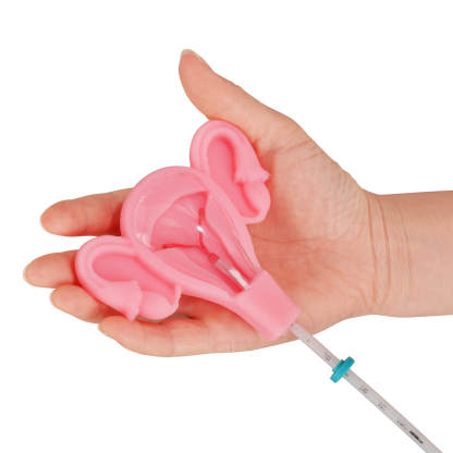 3D Uterus IUD Placement Training Model