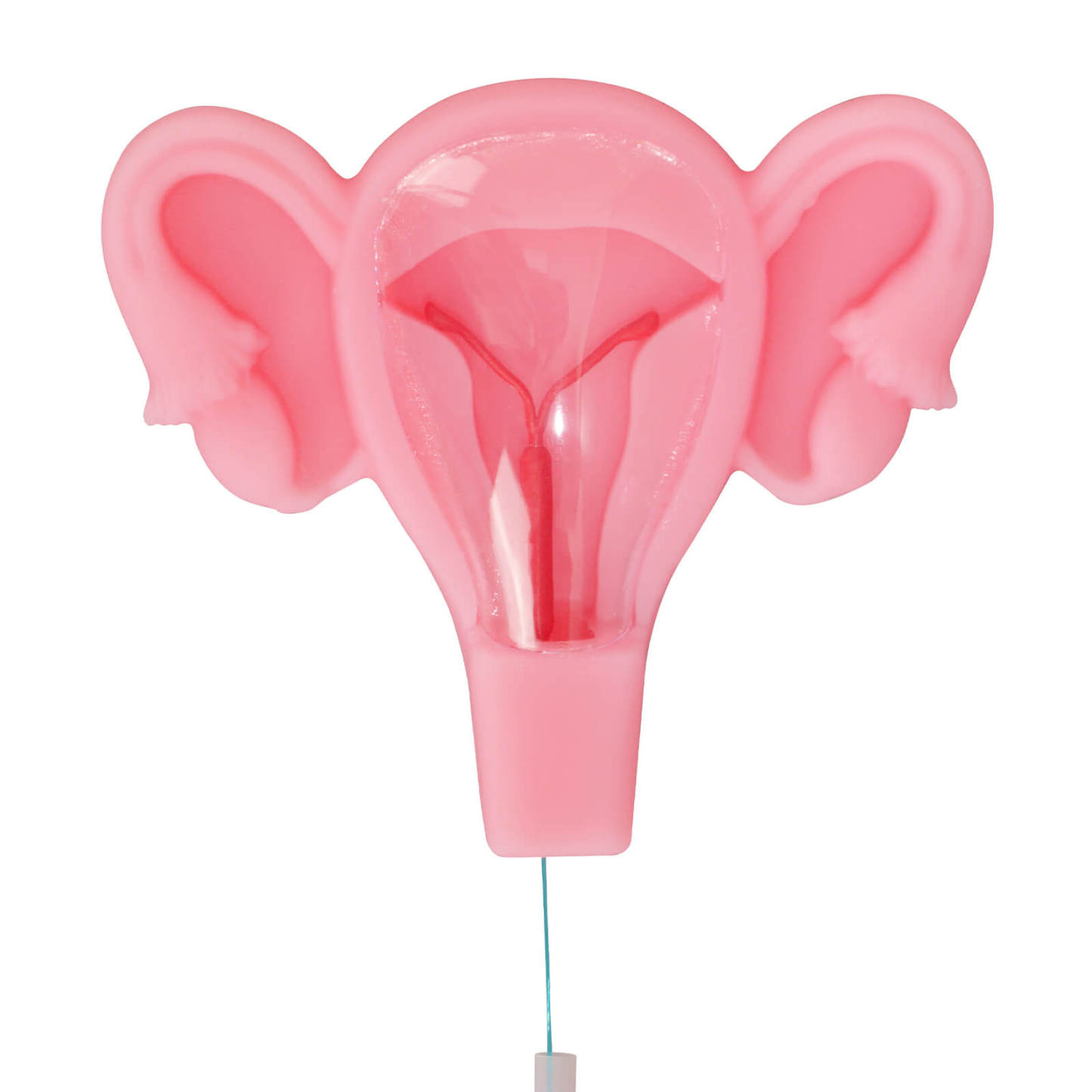 3D Uterus IUD Placement Training Model