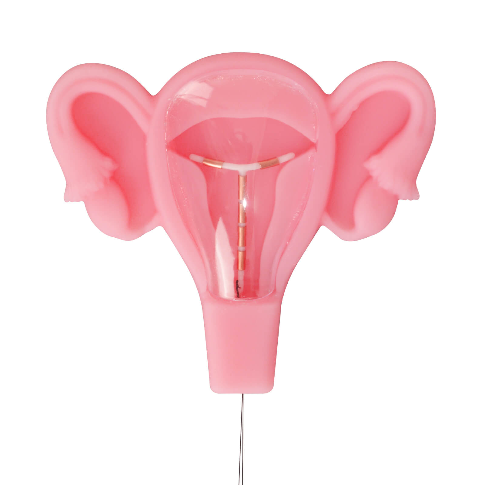 3D Uterus IUD Placement Training Model