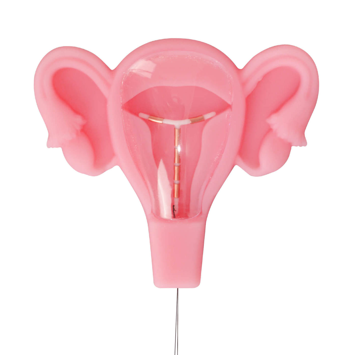 3D Uterus IUD Placement Training Model