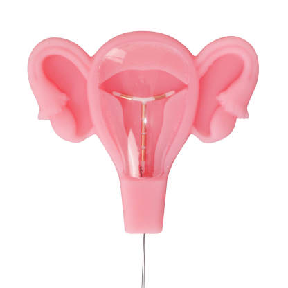 3D Uterus IUD Placement Training Model