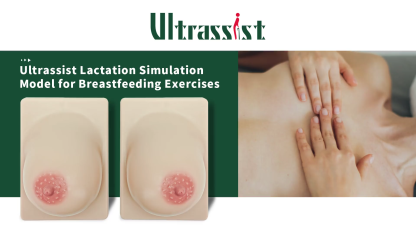 Bilateral Silicone Breast Model for Milk Expression Training