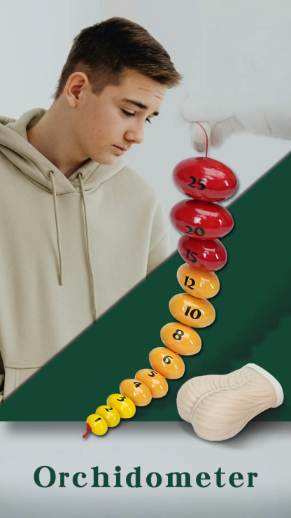 Ultrassist Wooden Prader Orchidometer for Testis Size Measure Male Tanner Stage