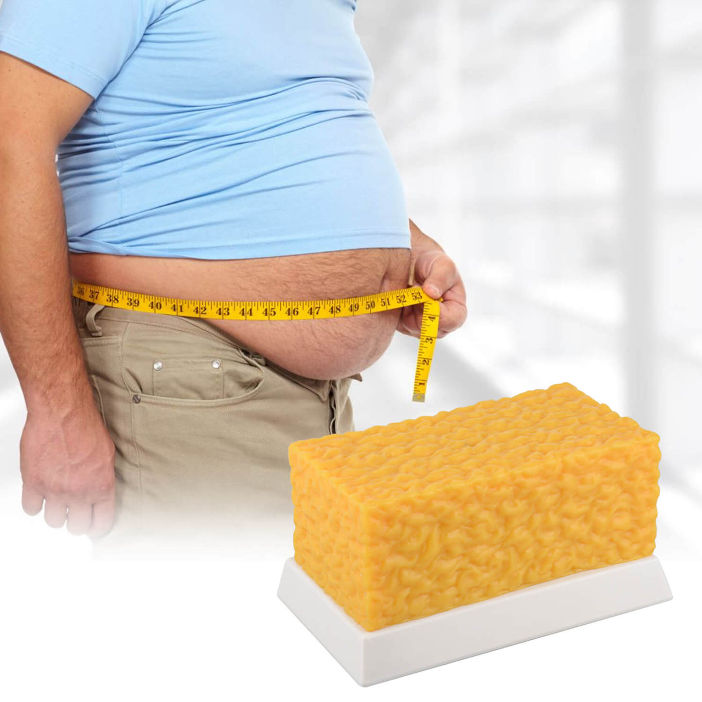 5 lbs Body Fat Replica Visual Reminder and Motivation