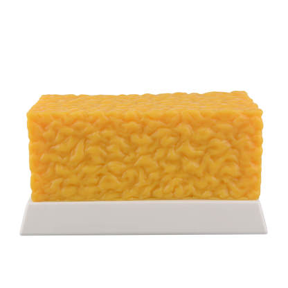 5 lbs Body Fat Replica Visual Reminder and Motivation