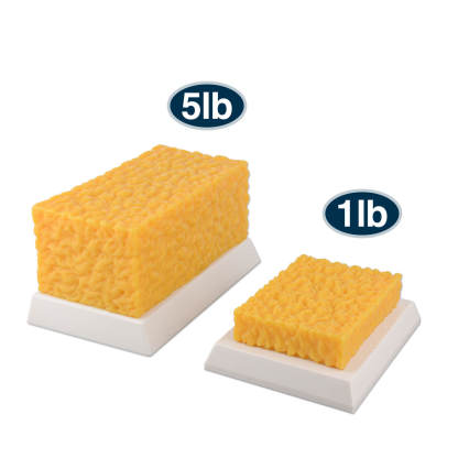 5 lbs Body Fat Replica Visual Reminder and Motivation