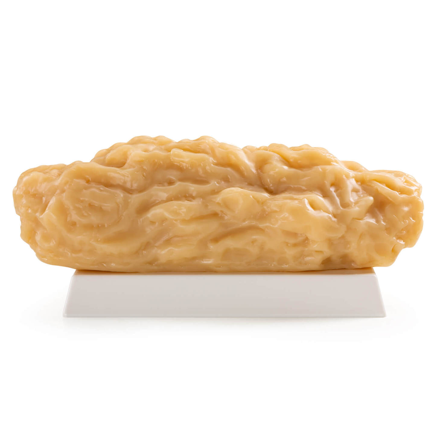 5 lbs Body Fat Replica Visual Reminder and Motivation