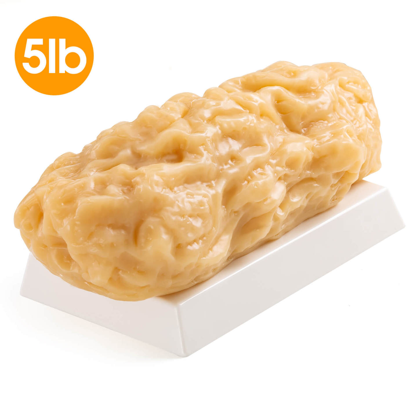 Ultrassist Human Body Fat Model (1, 2.5 & 5 lb) – Lifelike Fat Replicas for Fitness Training