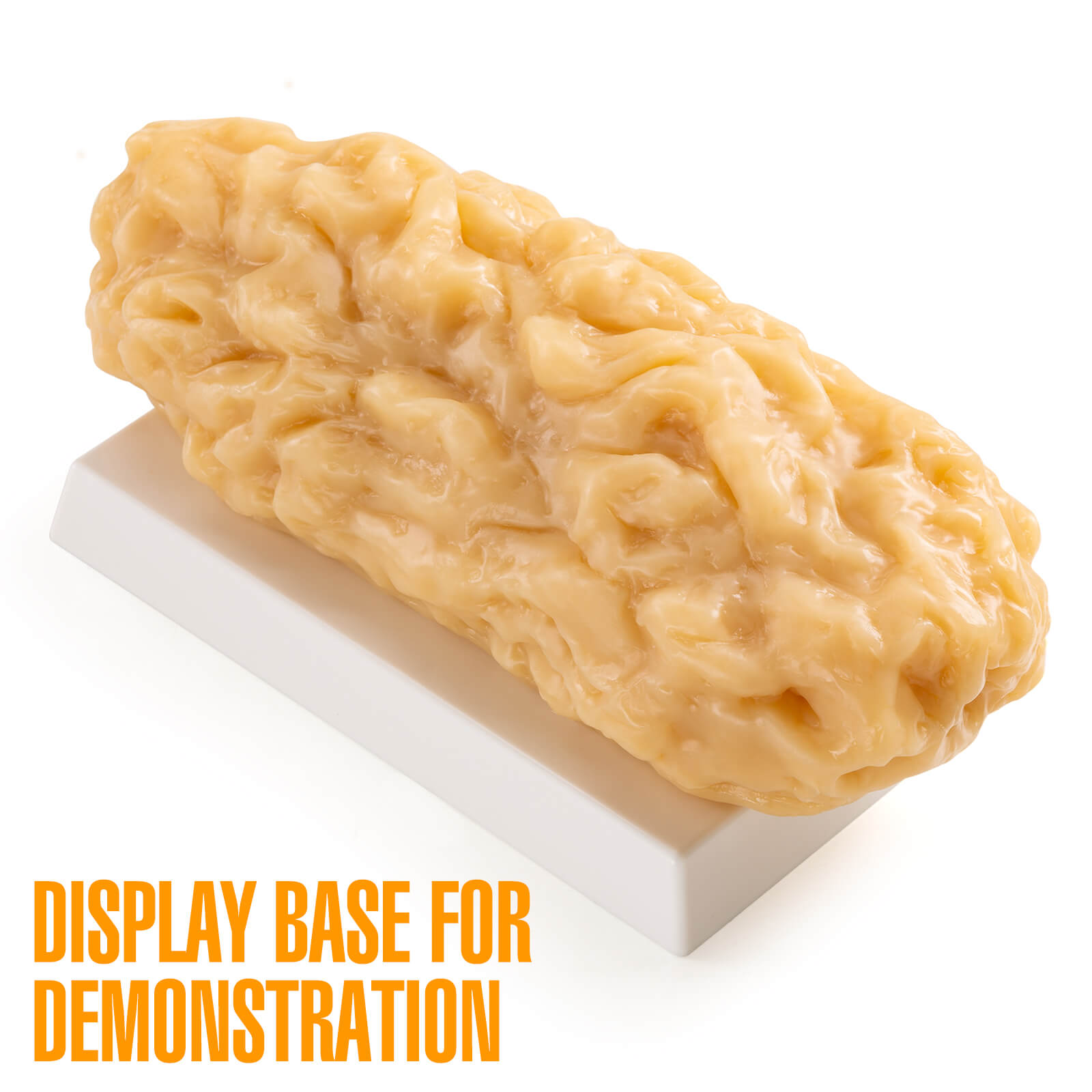 5 lbs Body Fat Replica Visual Reminder and Motivation