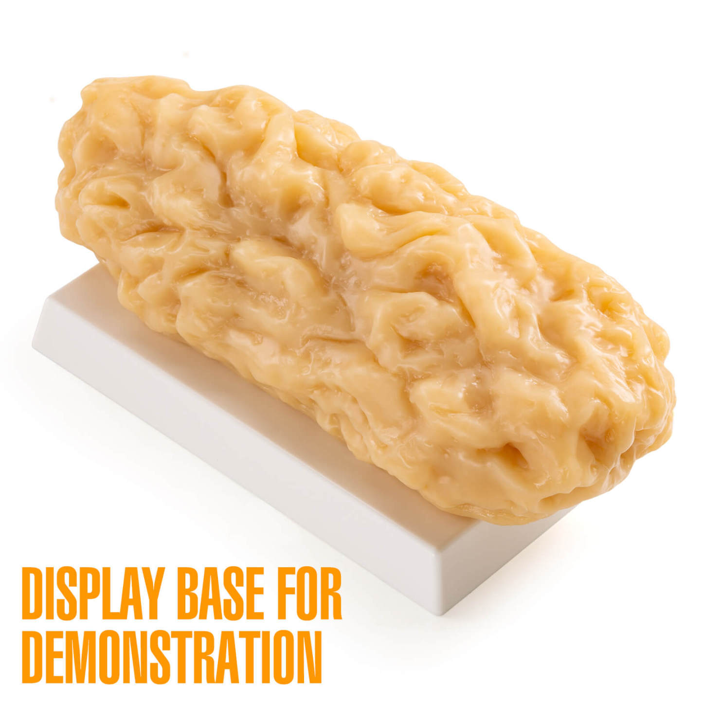 5 lbs Body Fat Replica Visual Reminder and Motivation