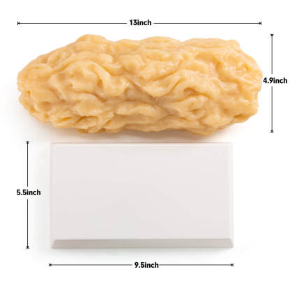 5 lbs Body Fat Replica Visual Reminder and Motivation