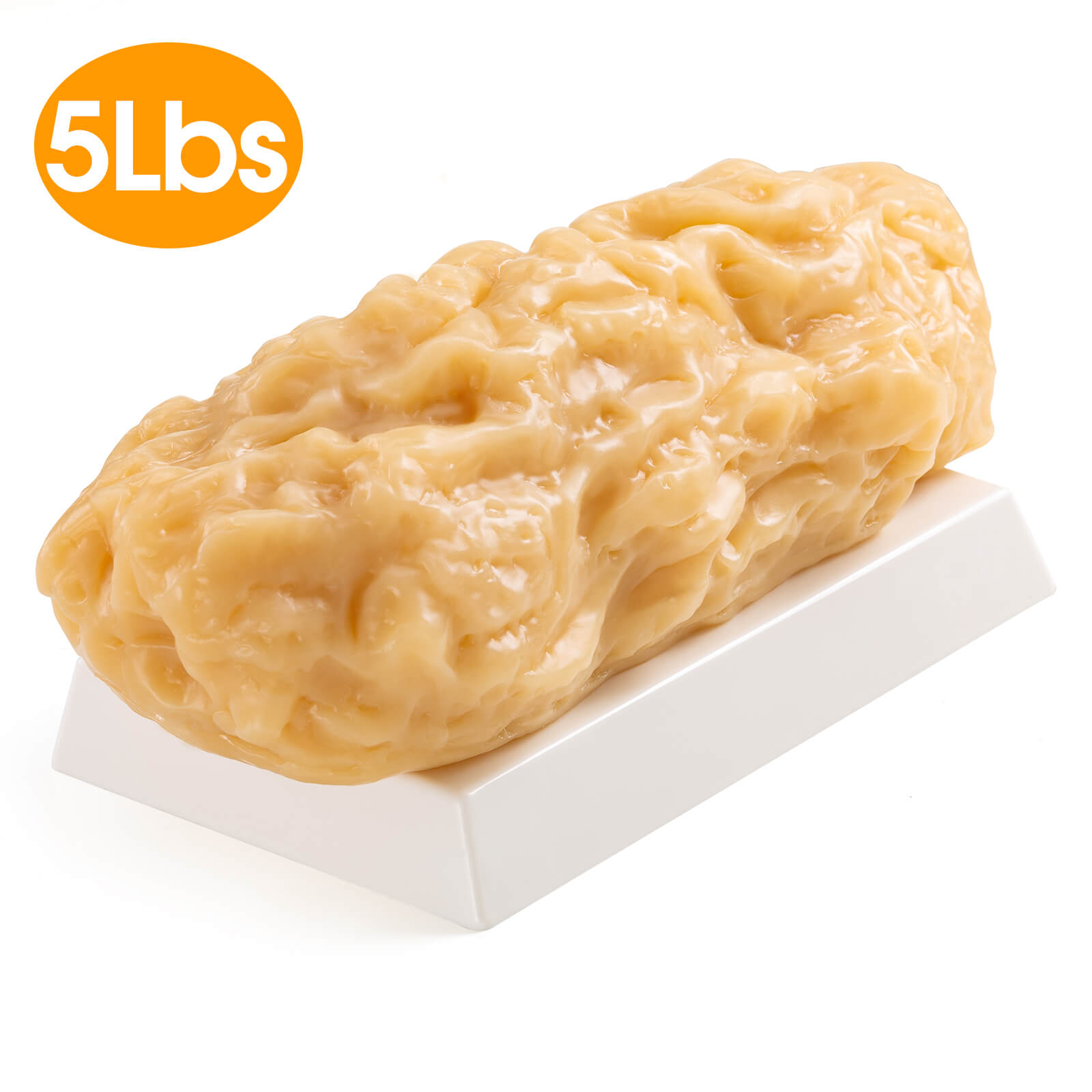 5 lbs Body Fat Replica Visual Reminder and Motivation