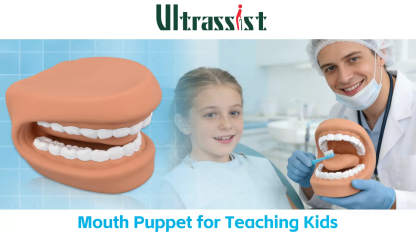 Mouth Puppet Dental Model for Kids Brushing Training