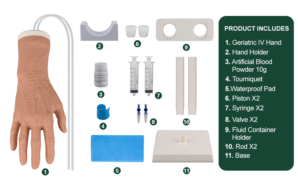 Intravenous Practice Hand