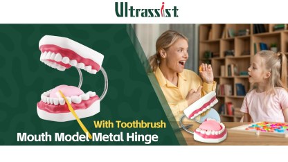 Ultrassist Big Mouth Model for Speech Therapy with Moveable Tongue, Toothbrush Demonstration