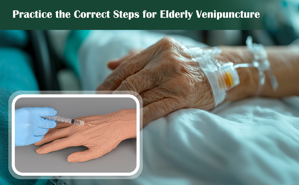 Ultrassist Geriatric IV Training Hand Kit for Vein Insertion Exercises