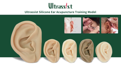 Acupuncture Training Silicone Ear Models