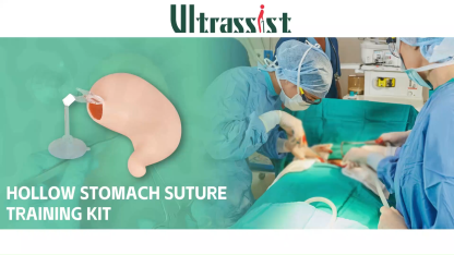 Ultrassist Hollow Stomach Suturing Model for Medical and Vet Training