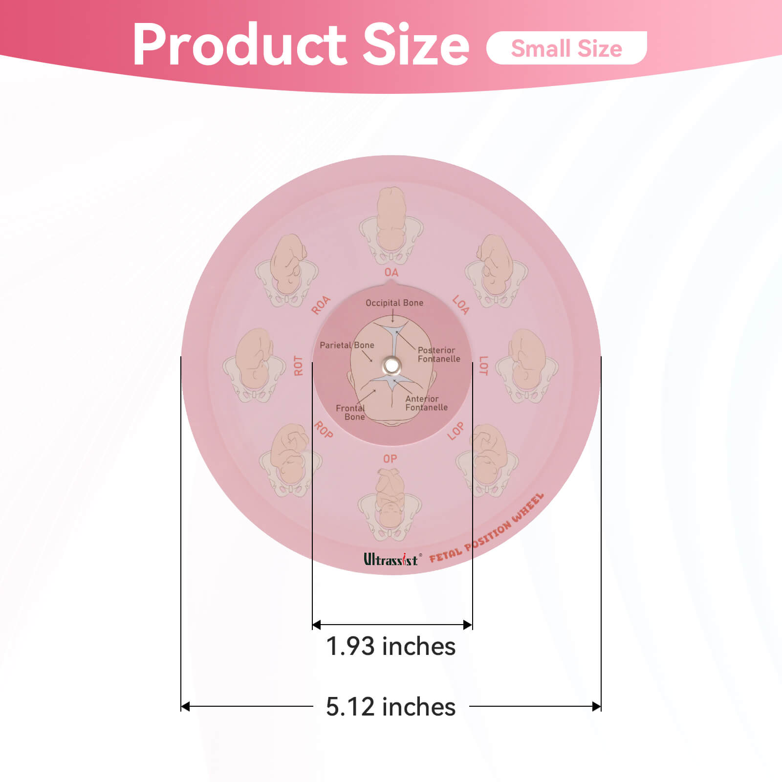 Midwife Fetal Position Tool - Cephalic & Breech