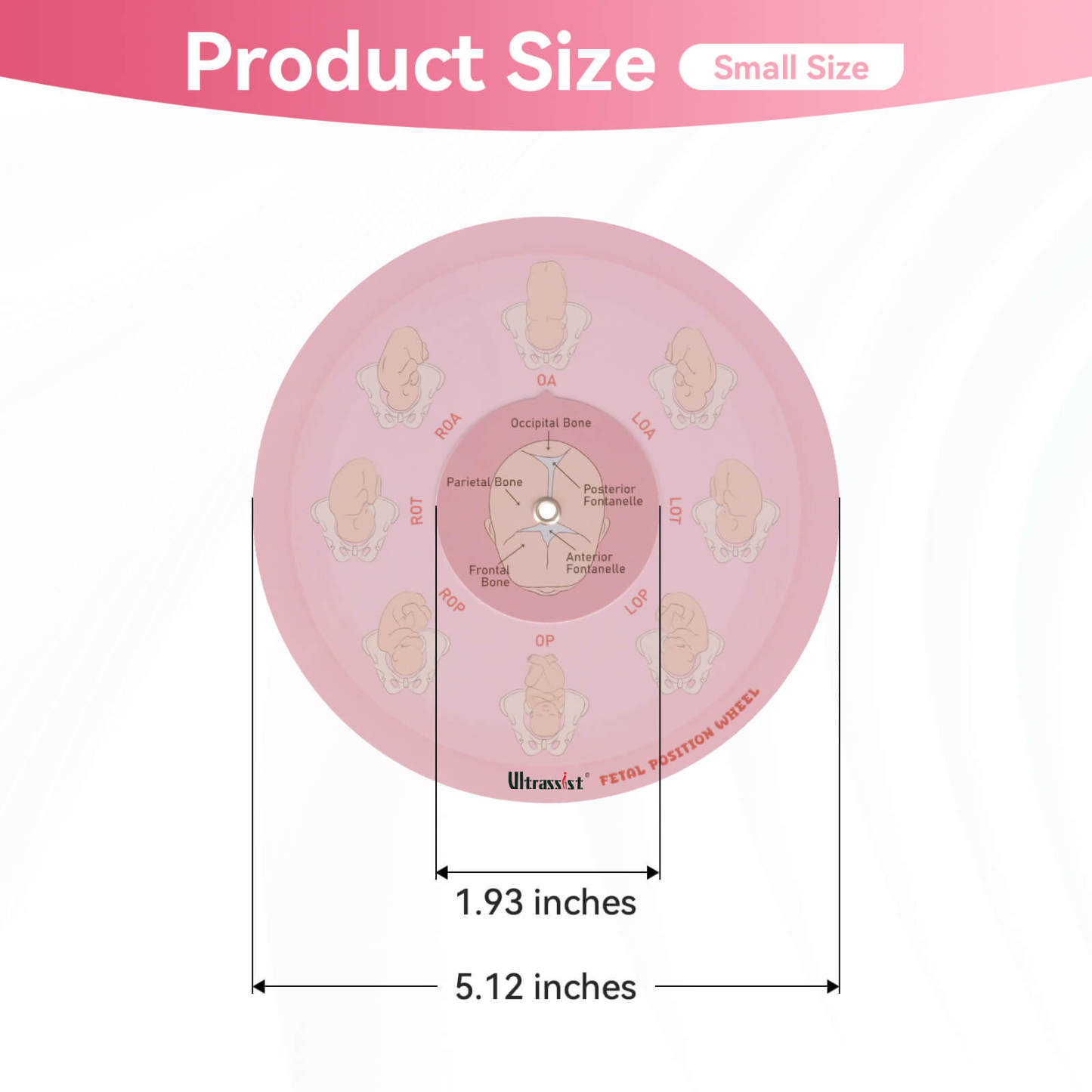 Midwife Fetal Position Tool - Cephalic & Breech