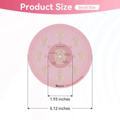 Midwife Fetal Position Tool - Cephalic & Breech