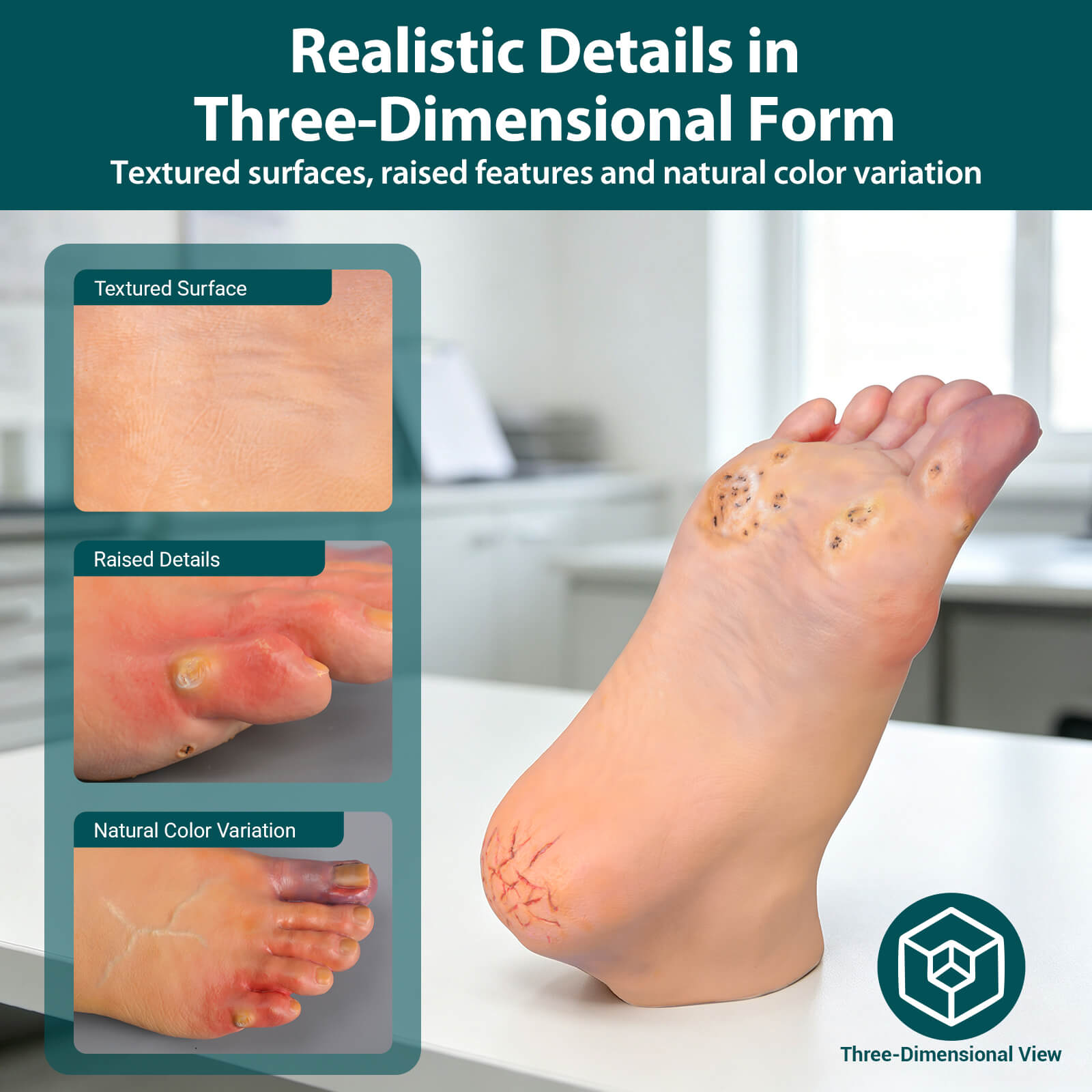 Foot Pathology Model with Common Foot Conditions