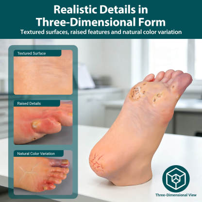 Foot Pathology Model with Common Foot Conditions