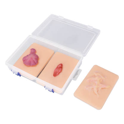 Hypertrophic Scar Wound Simulation Models (Set of 3)
