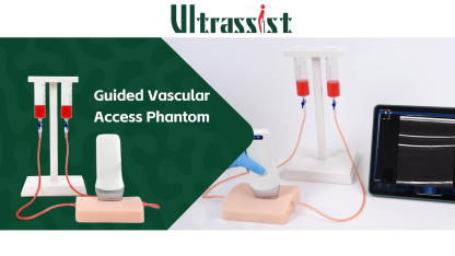 Ultrasound Vascular Access Phantom with Multivessel Design