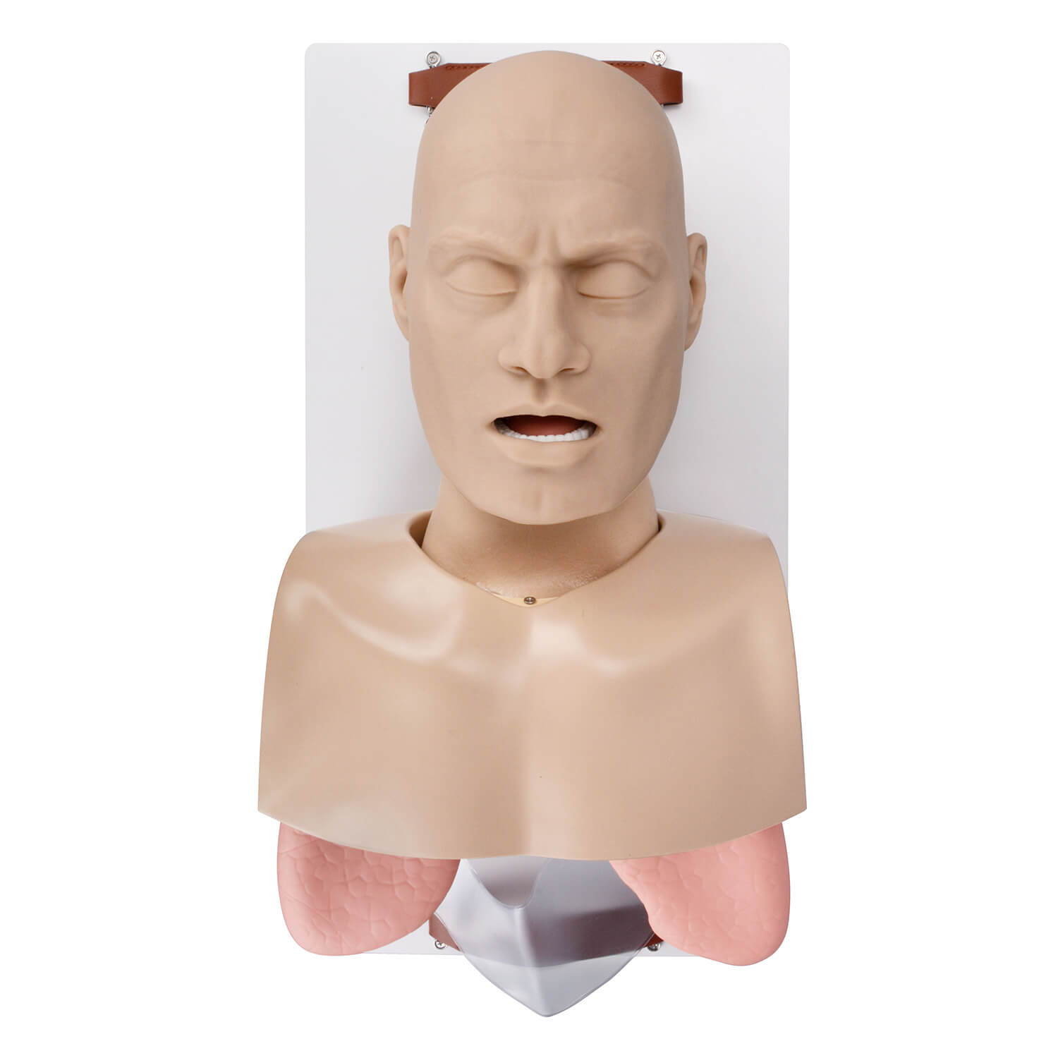 Adult Airway Management Manikin