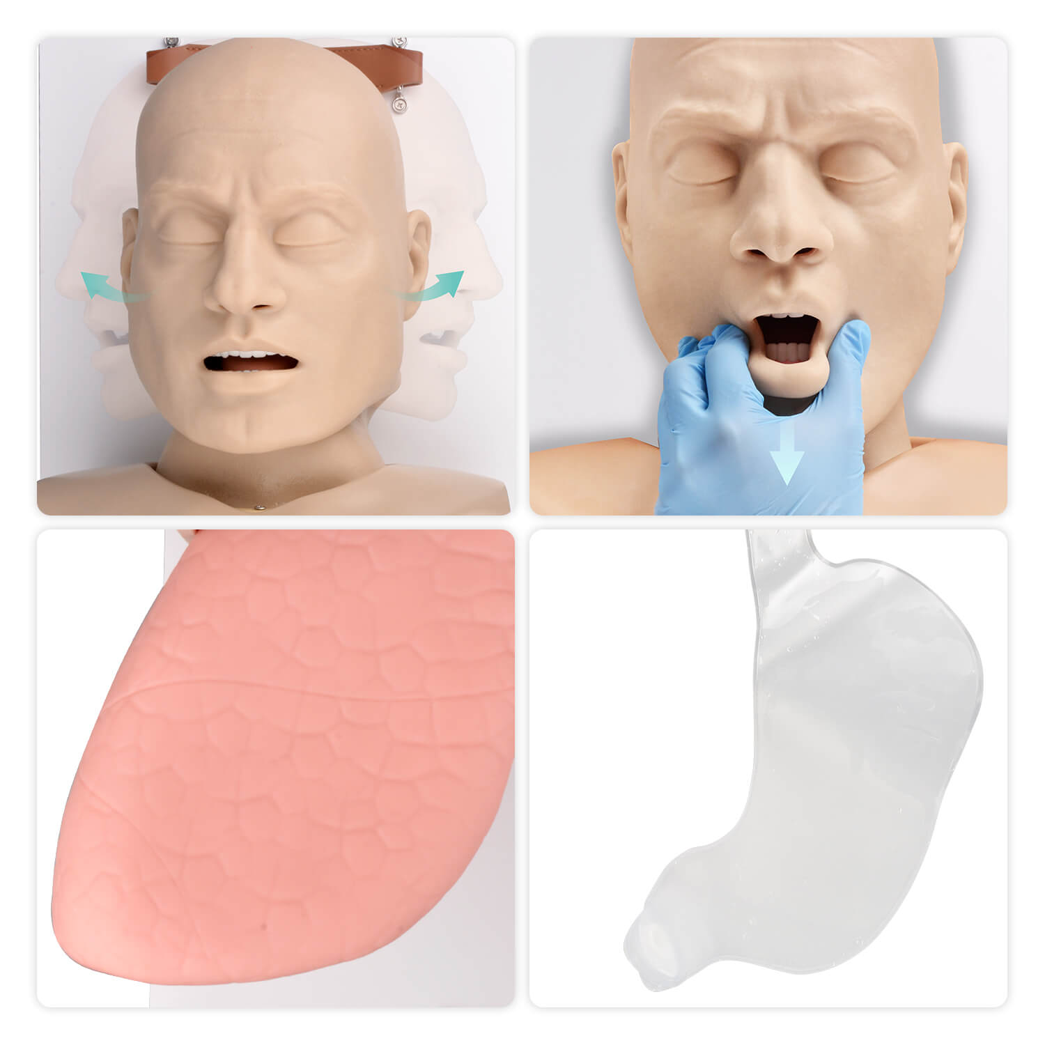 Realistic Adult Airway Management Manikin