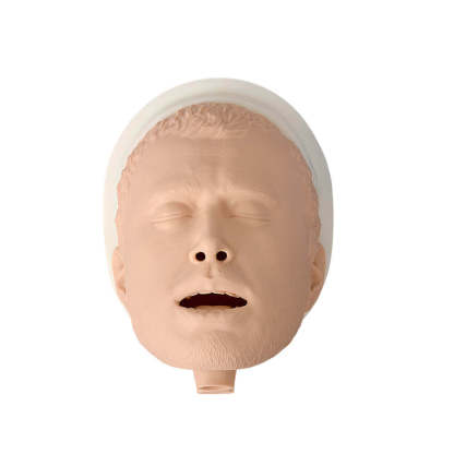 Adult Airway Management Trainer Manikin Head