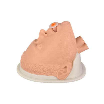 Adult Airway Management Trainer Manikin Head