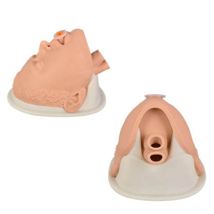 Adult Airway Management Trainer Manikin Head