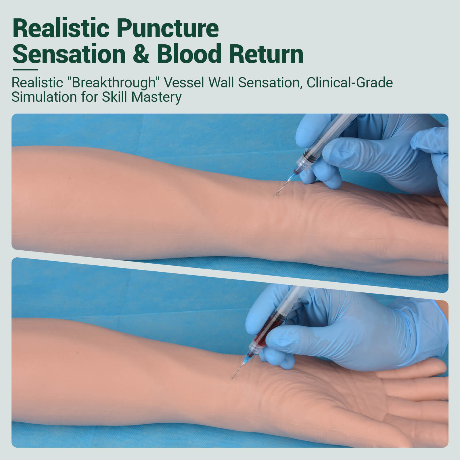 Radial & Ulnar Artery Puncture Training Arm