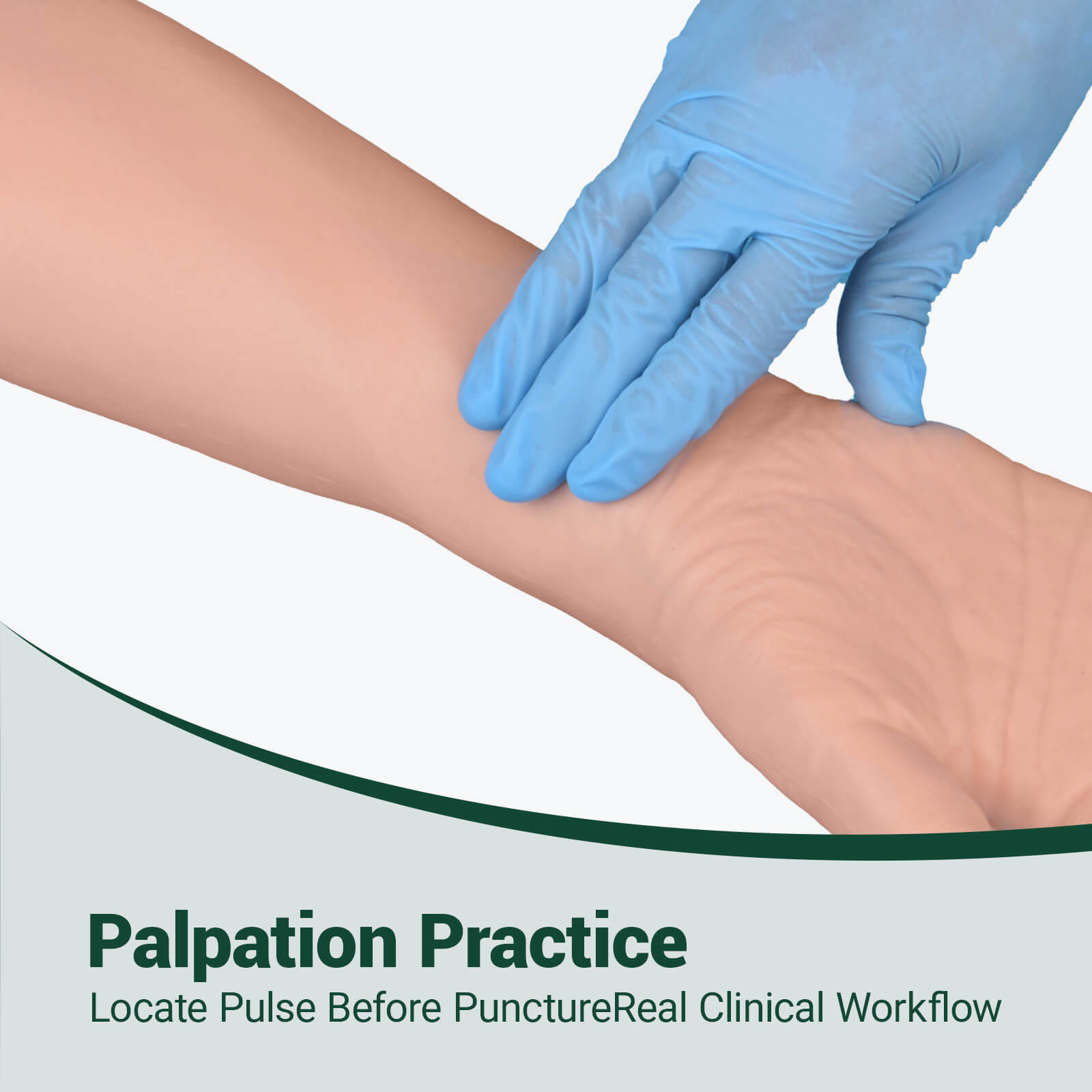 Radial & Ulnar Artery Puncture Training Arm