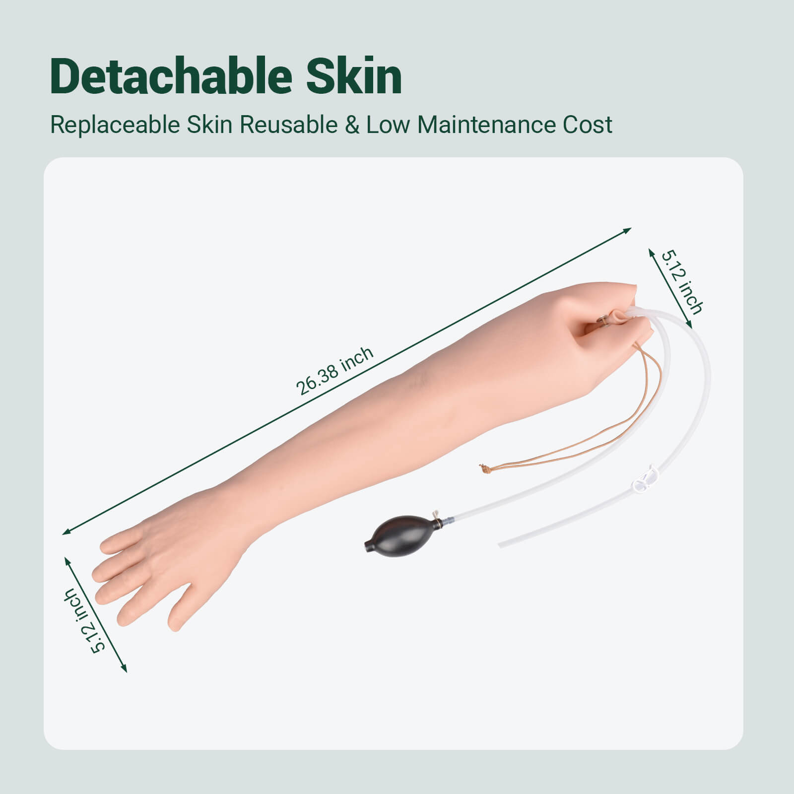 Radial & Ulnar Artery Puncture Training Arm