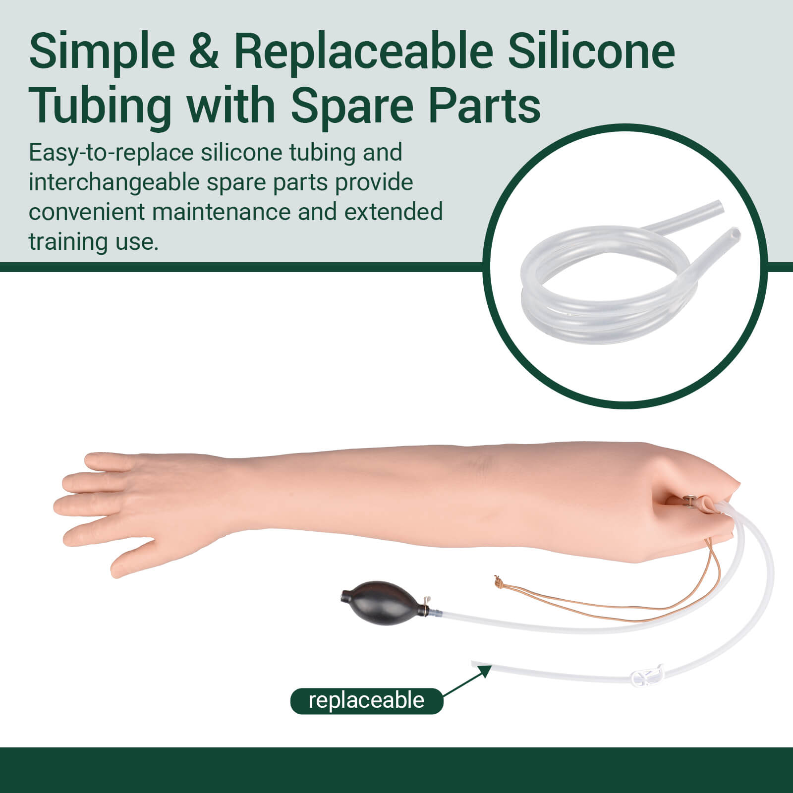 Radial & Ulnar Artery Puncture Training Arm