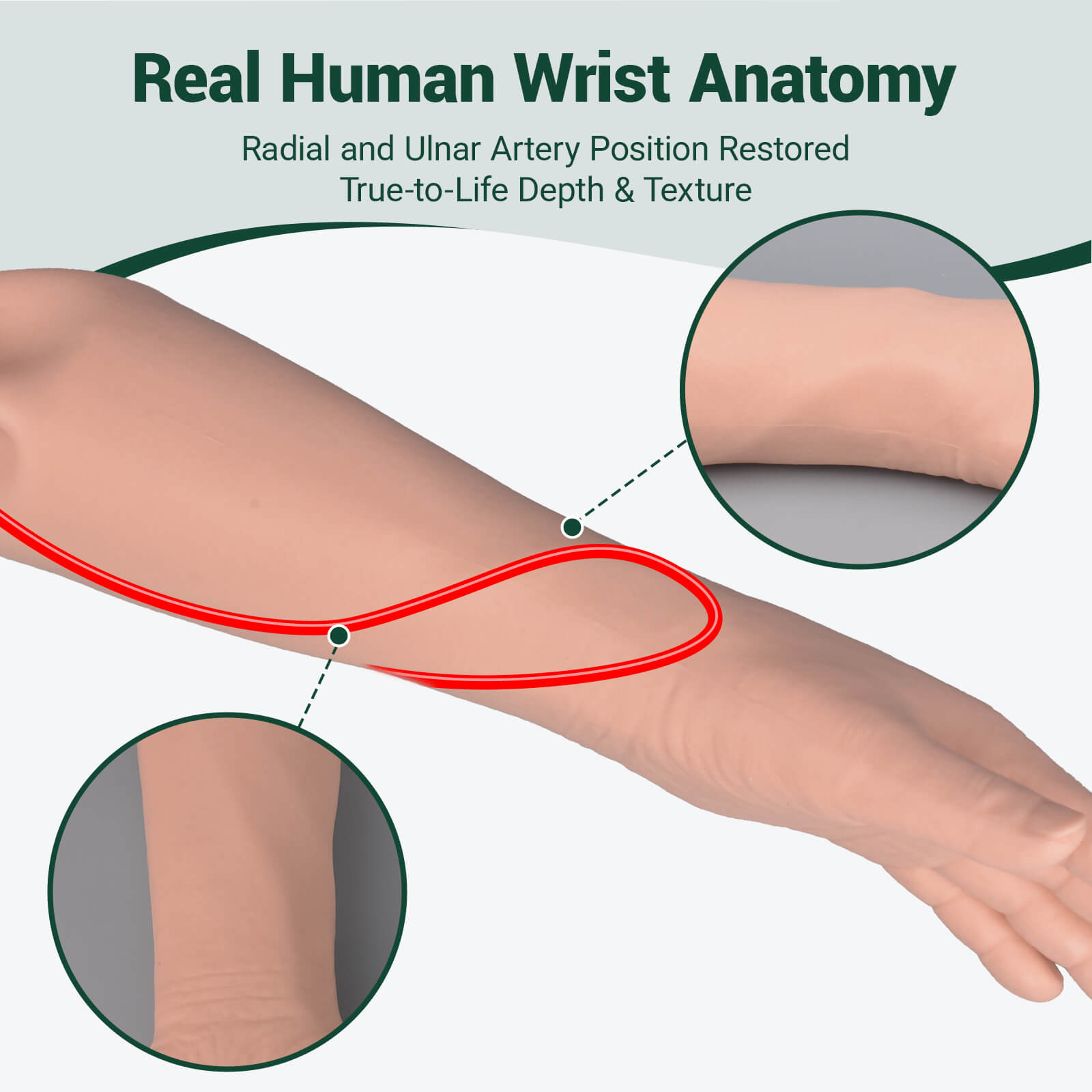 Radial Artery Puncture Trainer