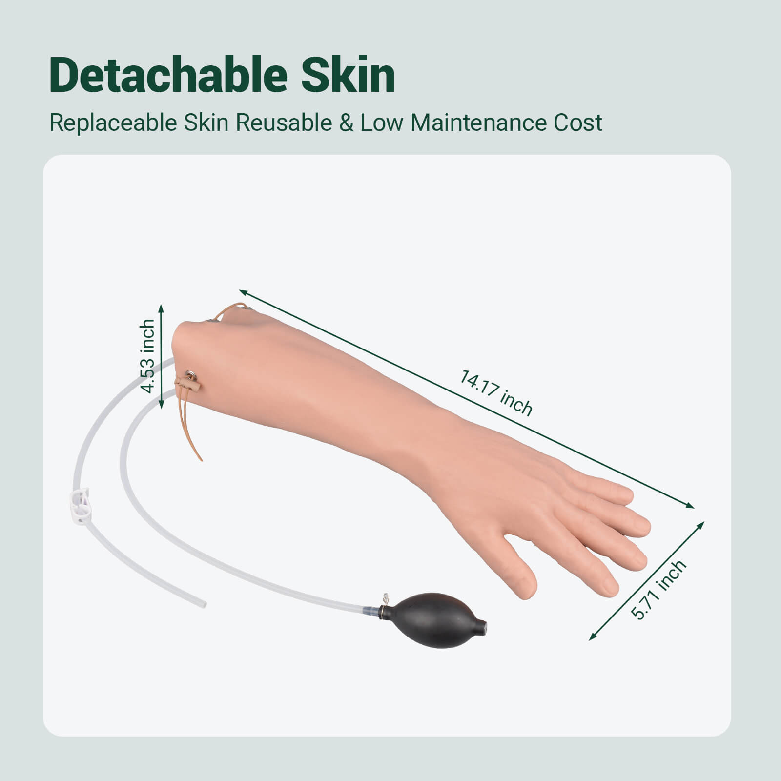 Radial Artery Puncture Trainer